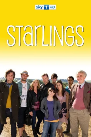 Starlings — постер