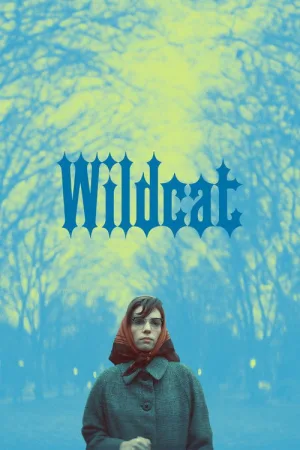 Wildcat — постер