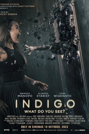 Indigo — постер
