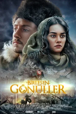 Birlesen Gönüller — постер
