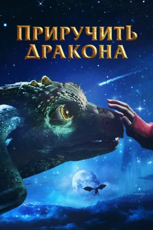 Приручить дракона — постер