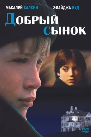 Добрый сынок — постер