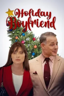 Holiday Boyfriend — постер