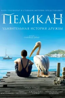 Пеликан — постер