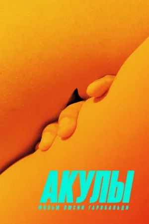 Акулы — постер