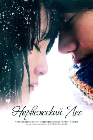 Норвежский лес — постер