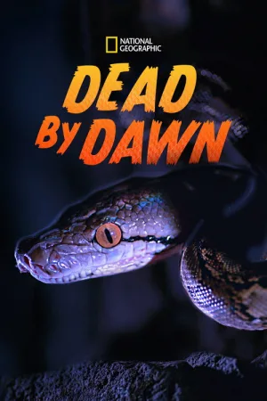 Dead By Dawn — постер