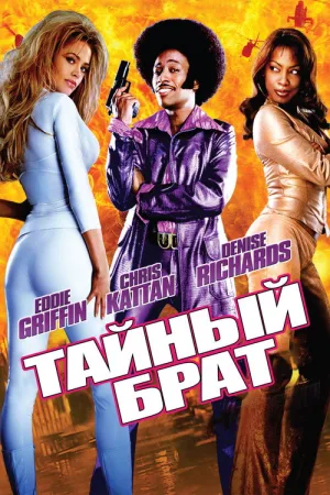 Тайный брат — постер