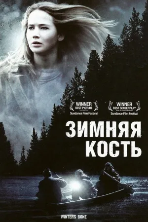 Зимняя кость — постер