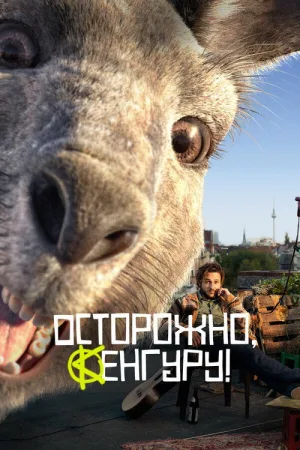 Осторожно, Кенгуру! — постер