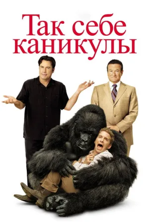 Так себе каникулы — постер