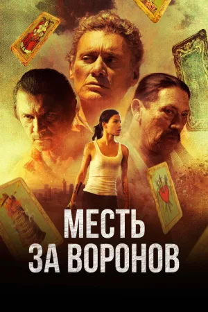 Месть за воронов — постер