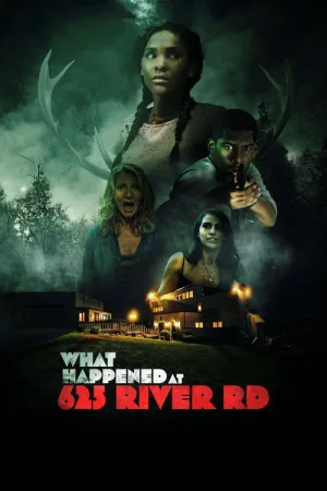 What Happened at 625 River Road? — постер