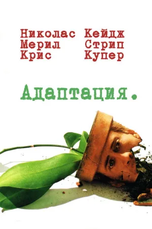 Адаптация — постер