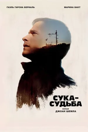 Сука-судьба — постер