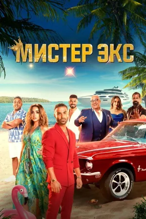 Мистер Экс — постер