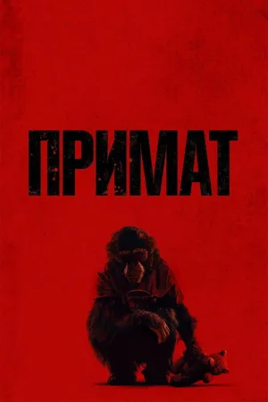 Примат — постер