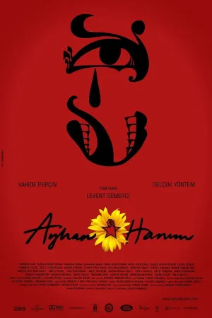 Ayhan Hanım — постер