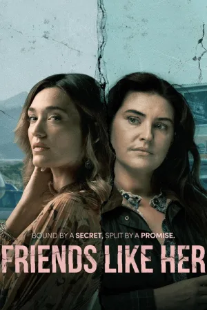 Friends Like Her — постер