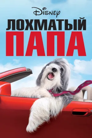 Лохматый папа — постер