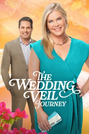 The Wedding Veil Journey — постер