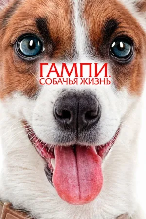 Гампи. Собачья жизнь — постер