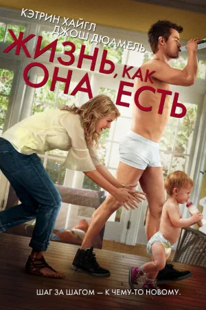 Жизнь, как она есть — постер