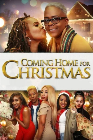 Coming Home for Christmas — постер