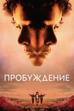 Пробуждение — постер