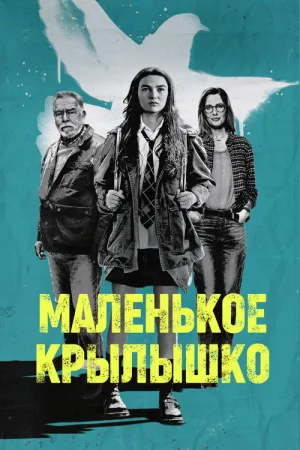 Маленькое крылышко — постер
