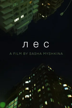 Лес — постер