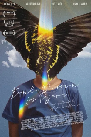 Donde duermen los pájaros — постер