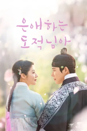 은애하는 도적님아 — постер