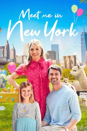 Meet Me in New York — постер