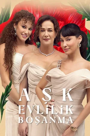 Aşk Evlilik Boşanma — постер