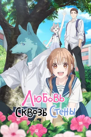 Любовь сквозь стены — постер
