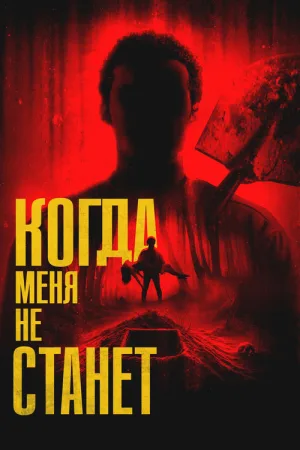Когда меня не станет — постер
