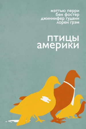 Птицы Америки — постер