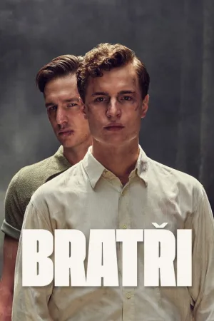 Братья — постер
