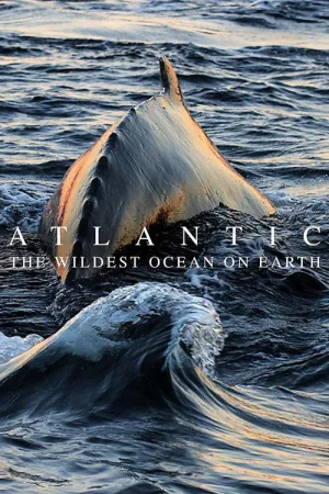 Atlantic: The Wildest Ocean on Earth — постер