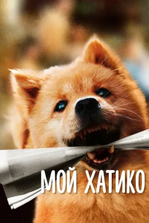 Мой Хатико — постер