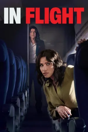 In Flight — постер