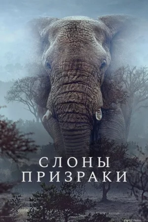 Слоны-призраки — постер