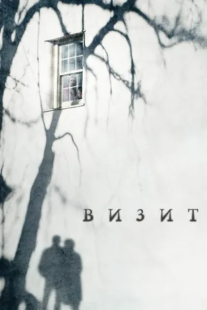 Визит — постер