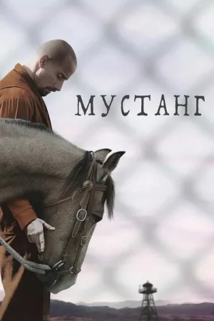 Мустанг — постер