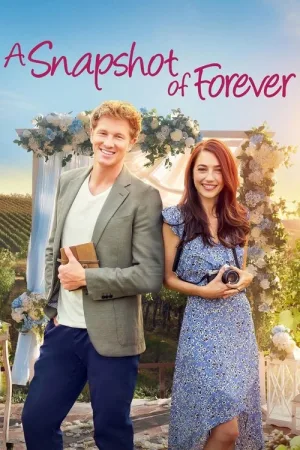 A Snapshot of Forever — постер