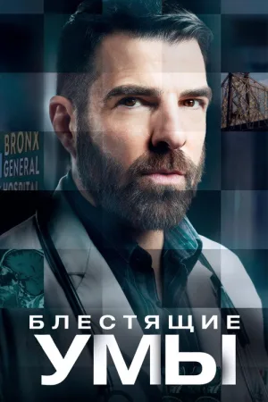 Блестящие умы — постер