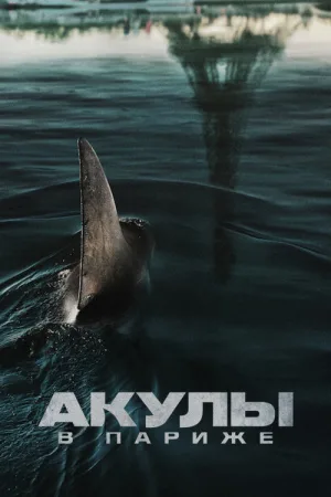 Акулы в Париже — постер