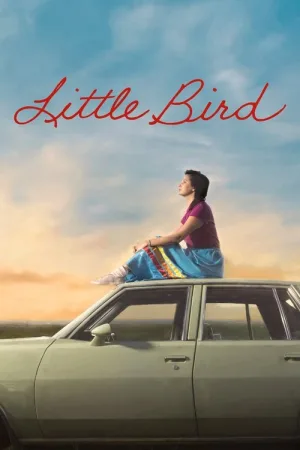 Little Bird — постер