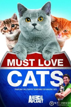 Animal Planet: Must Love Cats — постер